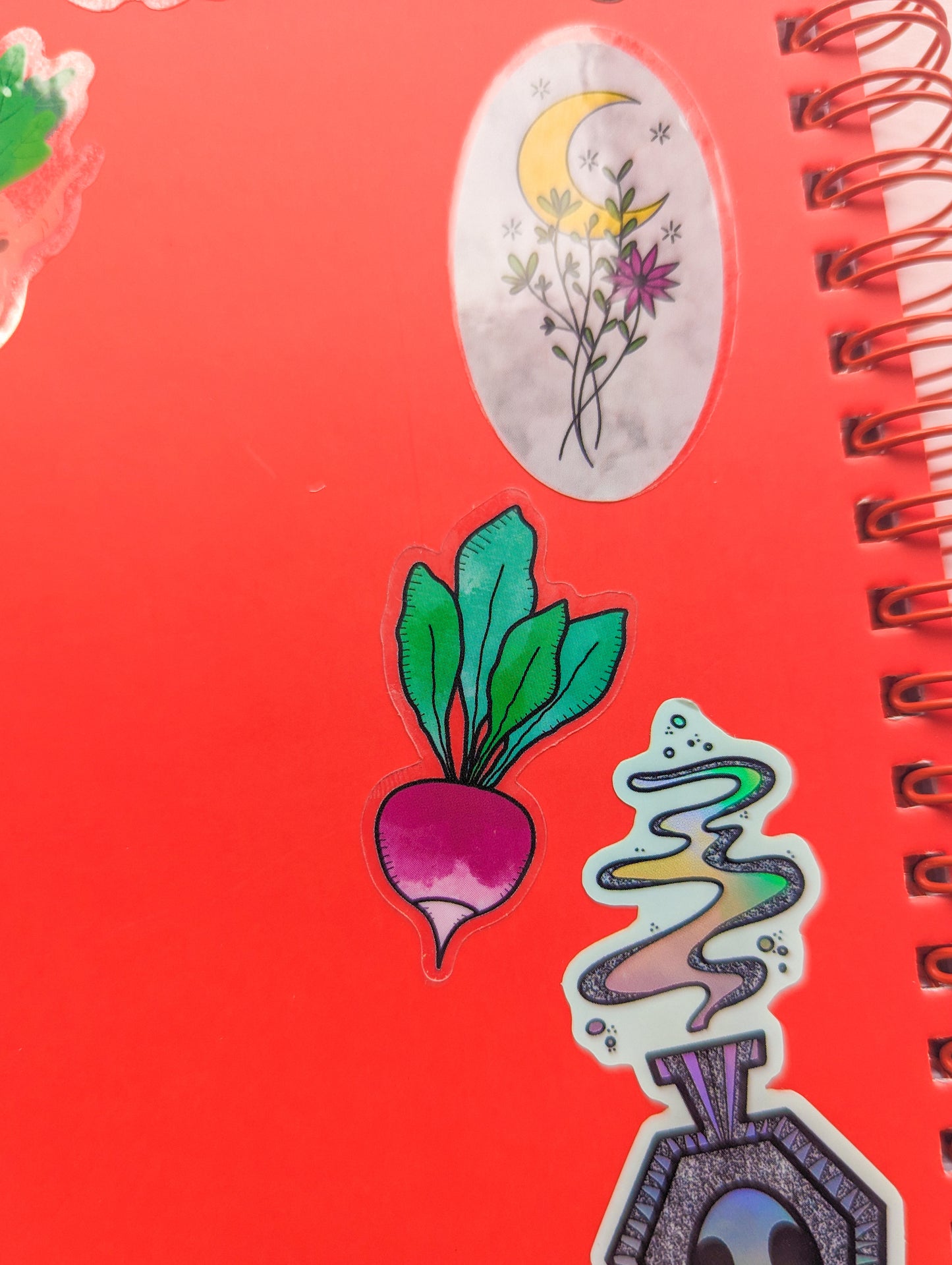 Eat ur Veggies Pack - Transparent Glossy