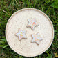 Fridge Magnet - Stoneware Pottery - Star - Citrus Poptart