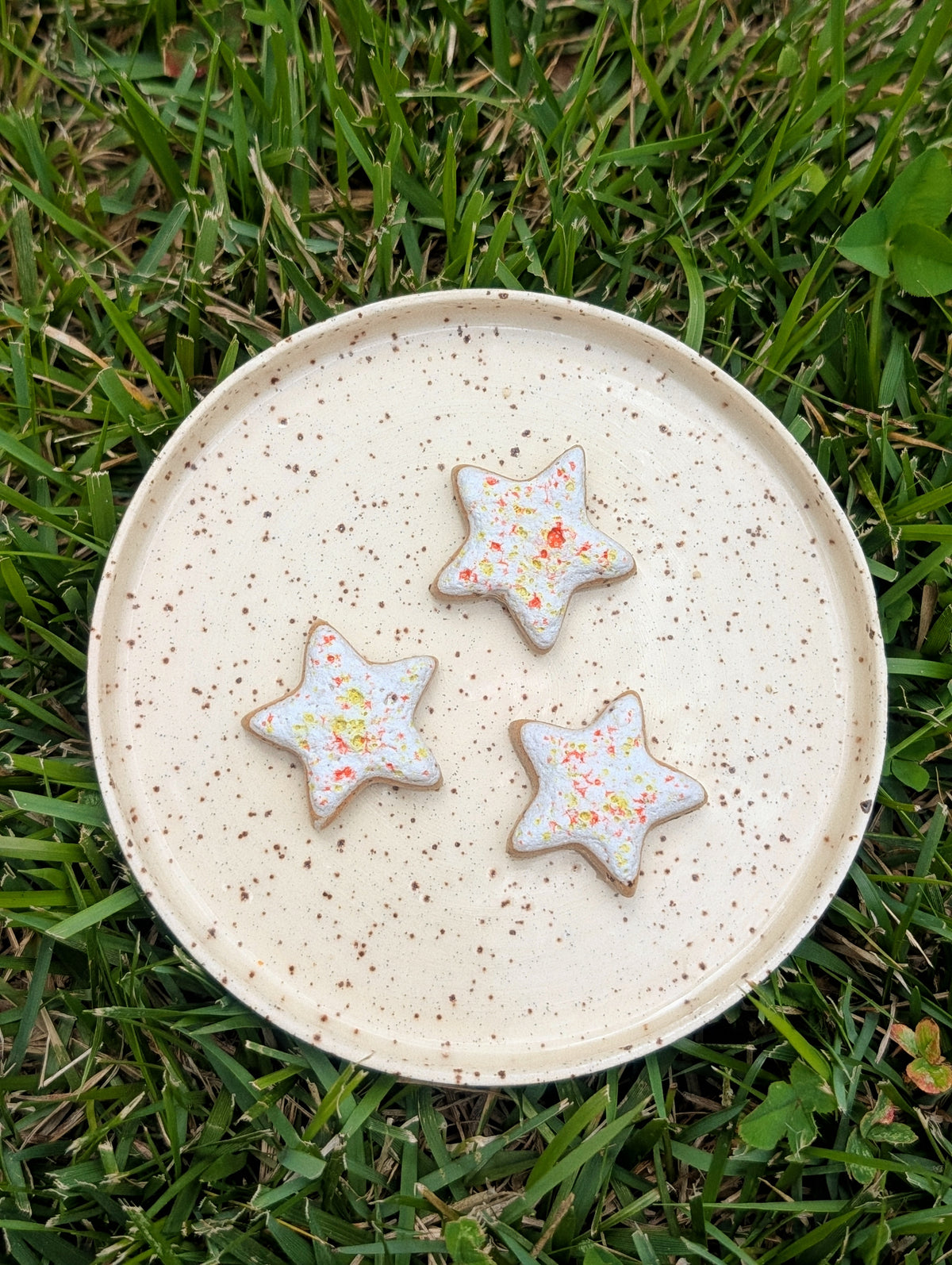 Fridge Magnet - Stoneware Pottery - Star - Citrus Poptart