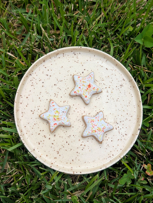 Fridge Magnet - Stoneware Pottery - Star - Citrus Poptart