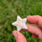 Fridge Magnet - Stoneware Pottery - Star - Citrus Poptart
