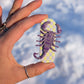 Fridge Magnets - Scorpion - Lilac & Soft Lime Checker