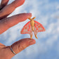 Fridge Magnets - Golden Moth