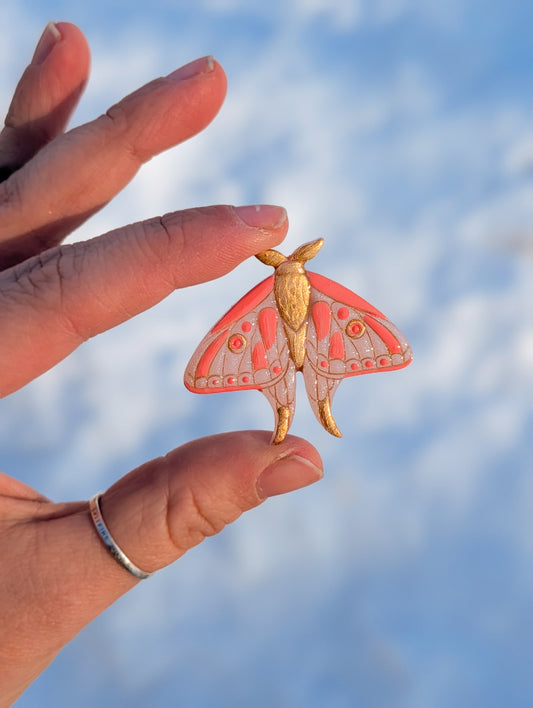 Fridge Magnets - Golden Moth