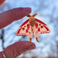 Fridge Magnets - Golden Moth