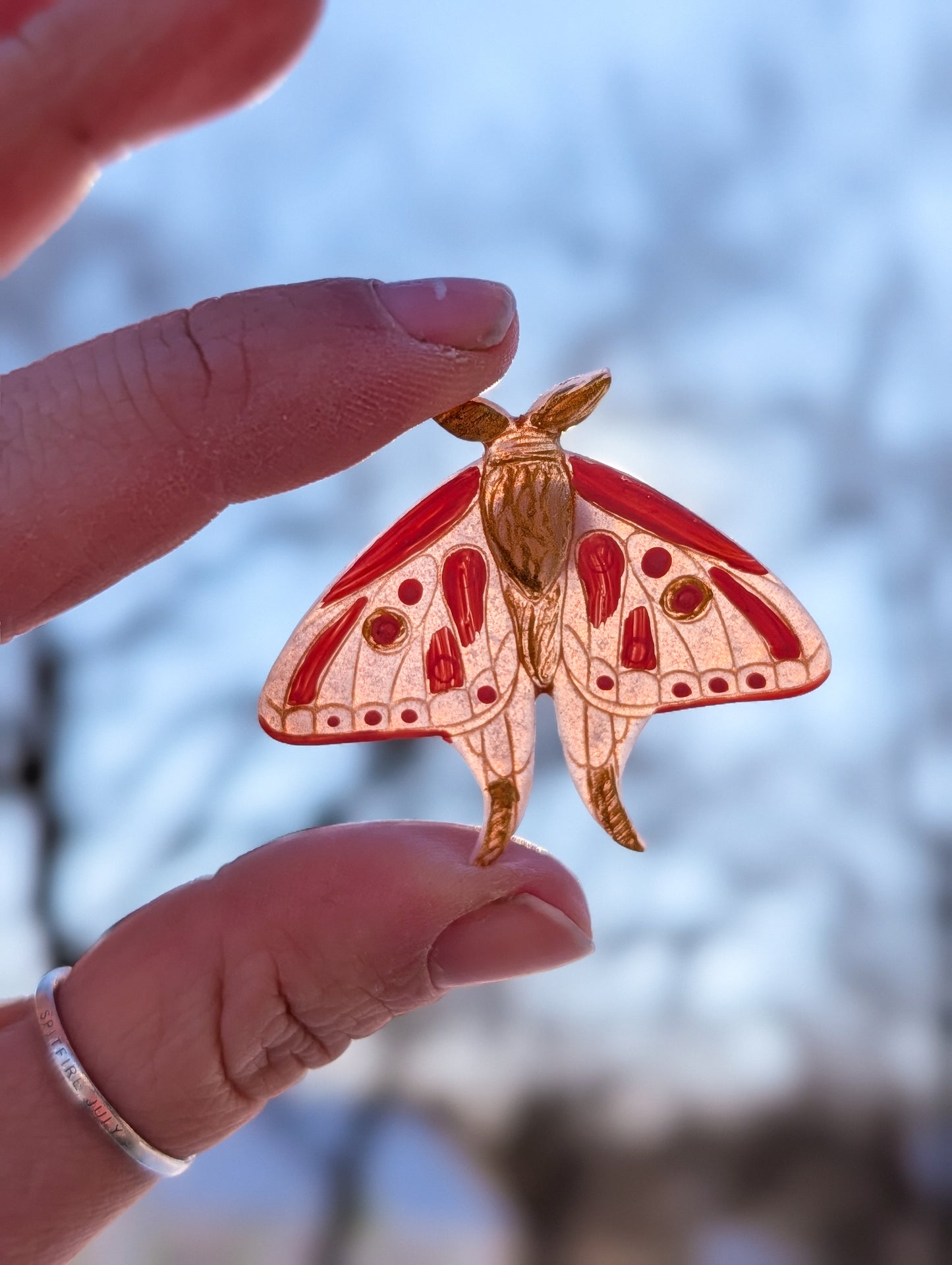 Fridge Magnets - Golden Moth