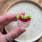 Fridge Magnets - Produce Baskets