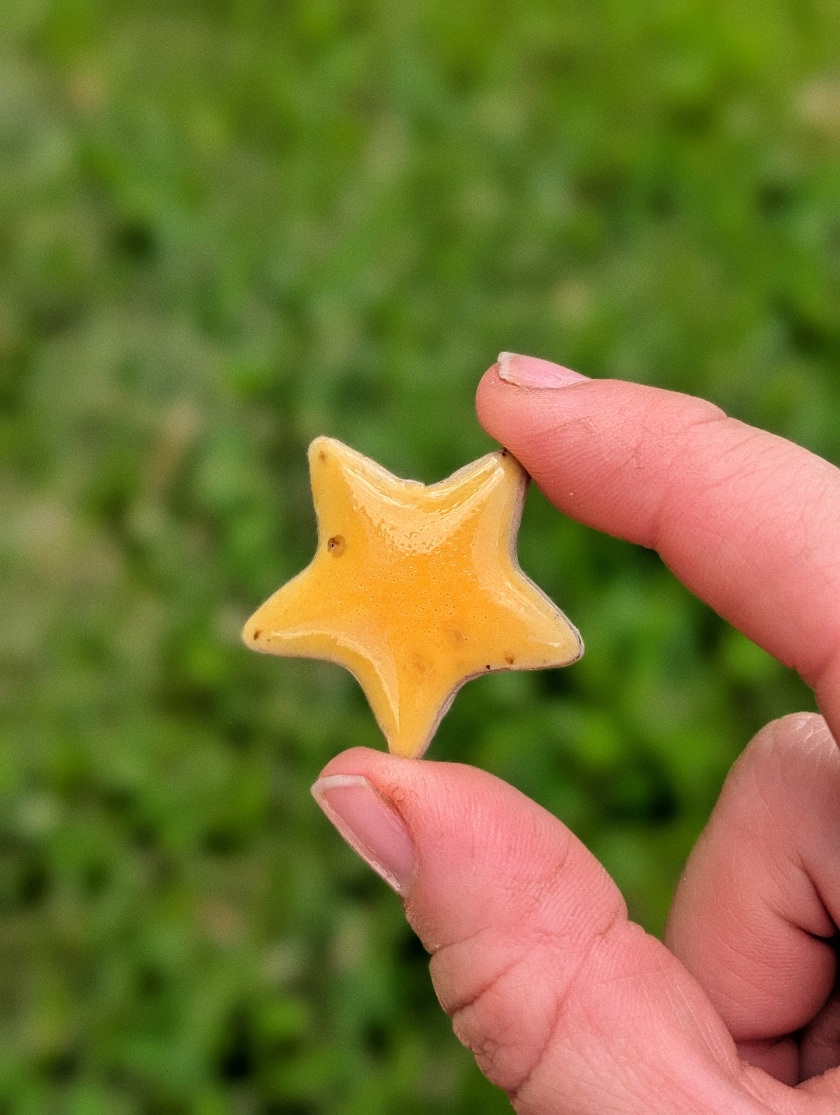 Fridge Magnet - Stoneware Pottery - Star - Golden