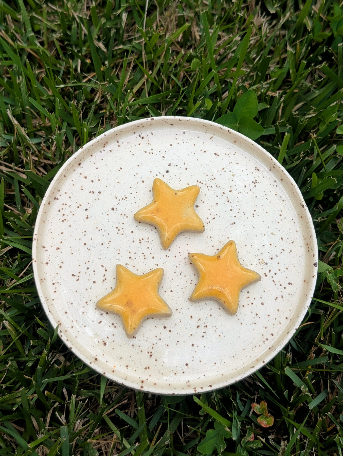 Fridge Magnet - Stoneware Pottery - Star - Golden