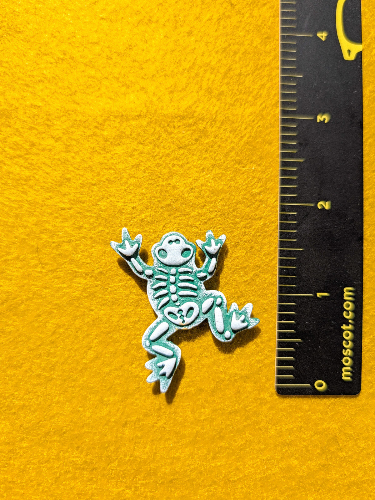Fridge Magnet - Skeleton - Frog
