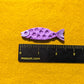 Fridge Magnet - Floral Sardines - Jumbo