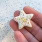 Fridge Magnet - Stoneware Pottery - Star - Citrus Poptart