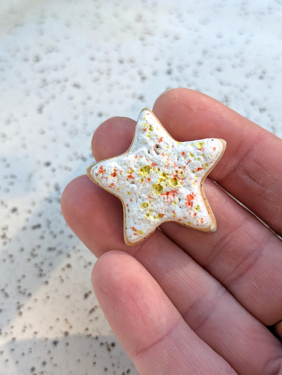 Fridge Magnet - Stoneware Pottery - Star - Citrus Poptart