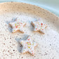 Fridge Magnet - Stoneware Pottery - Star - Citrus Poptart