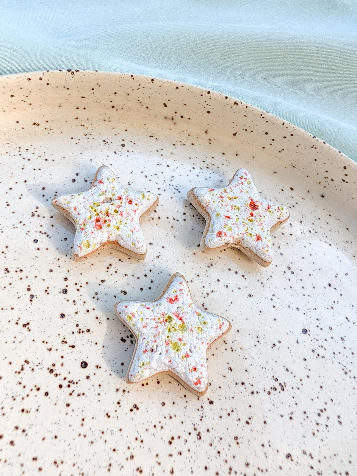 Fridge Magnet - Stoneware Pottery - Star - Citrus Poptart